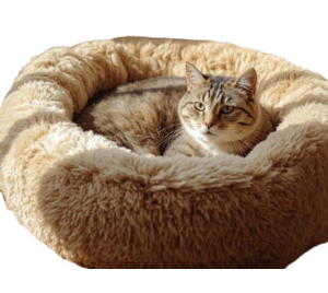 Cat Beds