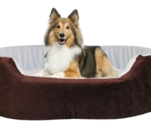 Dog Beds