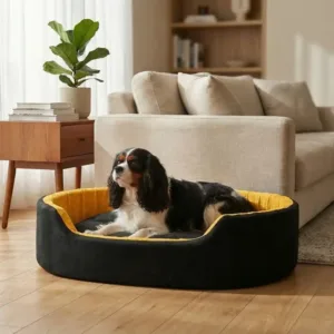 dog bed, premium dog bed, orthopedic dog bed, soft dog bed, pet bed for dogs, comfortable dog bed, washable dog bed, dog bed with cushion, premium orthopedic dog bed for large dogs, soft and comfortable dog bed with cushion, durable dog bed with PU foam support, luxury pet bed for small and medium dogs, breathable dog bed for summer and winter, stylish modern dog bed for home, lightweight dog bed easy to carry, dog bed with bone shape pillow, buy dog bed online India, best dog bed for home use, affordable premium dog bed, high quality pet bed India, dog bed under budget, cozy dog bed, luxury pet comfort bed, soft plush dog bed, designer dog bed, pet sleeping bed, dog sofa bed, dog lounger bed, pet sofa bed, round dog bed, donut dog bed, calming dog bed, anti anxiety dog bed, raised edge dog bed, bolster dog bed, dog bed with side support, dog bed with high walls, puppy bed, small dog bed, medium dog bed, large dog bed, extra large dog bed, indoor dog bed, home pet bed, dog sleeping cushion, thick padded dog bed, fluffy dog bed, soft foam dog bed, PU foam dog bed, fiber filled dog bed, eco friendly dog bed, skin friendly dog bed, hypoallergenic dog bed, non toxic pet bed, durable pet bedding, long lasting dog bed, tear resistant dog bed, chew resistant dog bed, easy to clean dog bed, machine washable pet bed, removable cover dog bed, portable dog bed, travel dog bed, foldable dog bed, lightweight pet bed, luxury dog sofa, premium pet mattress, designer pet furniture, modern pet bed, aesthetic dog bed, comfortable pet mattress, pet relaxation bed, cozy pet nest, warm dog bed for winter, cool breathable dog bed for summer, all season dog bed, anti slip base dog bed, waterproof dog bed, indoor luxury pet bed, dog bed for crate, dog bed for living room, pet accessories dog bed, best selling dog bed, trending pet products, affordable pet bedding India, online pet supplies India