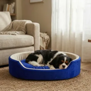 dog bed, premium dog bed, orthopedic dog bed, soft dog bed, pet bed for dogs, comfortable dog bed, washable dog bed, dog bed with cushion, premium orthopedic dog bed for large dogs, soft and comfortable dog bed with cushion, durable dog bed with PU foam support, luxury pet bed for small and medium dogs, breathable dog bed for summer and winter, stylish modern dog bed for home, lightweight dog bed easy to carry, dog bed with bone shape pillow, buy dog bed online India, best dog bed for home use, affordable premium dog bed, high quality pet bed India, dog bed under budget, cozy dog bed, luxury pet comfort bed, soft plush dog bed, designer dog bed, pet sleeping bed, dog sofa bed, dog lounger bed, pet sofa bed, round dog bed, donut dog bed, calming dog bed, anti anxiety dog bed, raised edge dog bed, bolster dog bed, dog bed with side support, dog bed with high walls, puppy bed, small dog bed, medium dog bed, large dog bed, extra large dog bed, indoor dog bed, home pet bed, dog sleeping cushion, thick padded dog bed, fluffy dog bed, soft foam dog bed, PU foam dog bed, fiber filled dog bed, eco friendly dog bed, skin friendly dog bed, hypoallergenic dog bed, non toxic pet bed, durable pet bedding, long lasting dog bed, tear resistant dog bed, chew resistant dog bed, easy to clean dog bed, machine washable pet bed, removable cover dog bed, portable dog bed, travel dog bed, foldable dog bed, lightweight pet bed, luxury dog sofa, premium pet mattress, designer pet furniture, modern pet bed, aesthetic dog bed, comfortable pet mattress, pet relaxation bed, cozy pet nest, warm dog bed for winter, cool breathable dog bed for summer, all season dog bed, anti slip base dog bed, waterproof dog bed, indoor luxury pet bed, dog bed for crate, dog bed for living room, pet accessories dog bed, best selling dog bed, trending pet products, affordable pet bedding India, online pet supplies India