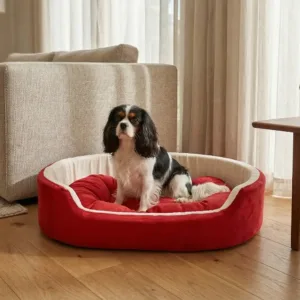 dog bed, premium dog bed, orthopedic dog bed, soft dog bed, pet bed for dogs, comfortable dog bed, washable dog bed, dog bed with cushion, premium orthopedic dog bed for large dogs, soft and comfortable dog bed with cushion, durable dog bed with PU foam support, luxury pet bed for small and medium dogs, breathable dog bed for summer and winter, stylish modern dog bed for home, lightweight dog bed easy to carry, dog bed with bone shape pillow, buy dog bed online India, best dog bed for home use, affordable premium dog bed, high quality pet bed India, dog bed under budget, cozy dog bed, luxury pet comfort bed, soft plush dog bed, designer dog bed, pet sleeping bed, dog sofa bed, dog lounger bed, pet sofa bed, round dog bed, donut dog bed, calming dog bed, anti anxiety dog bed, raised edge dog bed, bolster dog bed, dog bed with side support, dog bed with high walls, puppy bed, small dog bed, medium dog bed, large dog bed, extra large dog bed, indoor dog bed, home pet bed, dog sleeping cushion, thick padded dog bed, fluffy dog bed, soft foam dog bed, PU foam dog bed, fiber filled dog bed, eco friendly dog bed, skin friendly dog bed, hypoallergenic dog bed, non toxic pet bed, durable pet bedding, long lasting dog bed, tear resistant dog bed, chew resistant dog bed, easy to clean dog bed, machine washable pet bed, removable cover dog bed, portable dog bed, travel dog bed, foldable dog bed, lightweight pet bed, luxury dog sofa, premium pet mattress, designer pet furniture, modern pet bed, aesthetic dog bed, comfortable pet mattress, pet relaxation bed, cozy pet nest, warm dog bed for winter, cool breathable dog bed for summer, all season dog bed, anti slip base dog bed, waterproof dog bed, indoor luxury pet bed, dog bed for crate, dog bed for living room, pet accessories dog bed, best selling dog bed, trending pet products, affordable pet bedding India, online pet supplies India