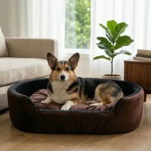 dog bed, premium dog bed, orthopedic dog bed, soft dog bed, pet bed for dogs, comfortable dog bed, washable dog bed, dog bed with cushion, premium orthopedic dog bed for large dogs, soft and comfortable dog bed with cushion, durable dog bed with PU foam support, luxury pet bed for small and medium dogs, breathable dog bed for summer and winter, stylish modern dog bed for home, lightweight dog bed easy to carry, dog bed with bone shape pillow, buy dog bed online India, best dog bed for home use, affordable premium dog bed, high quality pet bed India, dog bed under budget, cozy dog bed, luxury pet comfort bed, soft plush dog bed, designer dog bed, pet sleeping bed, dog sofa bed, dog lounger bed, pet sofa bed, round dog bed, donut dog bed, calming dog bed, anti anxiety dog bed, raised edge dog bed, bolster dog bed, dog bed with side support, dog bed with high walls, puppy bed, small dog bed, medium dog bed, large dog bed, extra large dog bed, indoor dog bed, home pet bed, dog sleeping cushion, thick padded dog bed, fluffy dog bed, soft foam dog bed, PU foam dog bed, fiber filled dog bed, eco friendly dog bed, skin friendly dog bed, hypoallergenic dog bed, non toxic pet bed, durable pet bedding, long lasting dog bed, tear resistant dog bed, chew resistant dog bed, easy to clean dog bed, machine washable pet bed, removable cover dog bed, portable dog bed, travel dog bed, foldable dog bed, lightweight pet bed, luxury dog sofa, premium pet mattress, designer pet furniture, modern pet bed, aesthetic dog bed, comfortable pet mattress, pet relaxation bed, cozy pet nest, warm dog bed for winter, cool breathable dog bed for summer, all season dog bed, anti slip base dog bed, waterproof dog bed, indoor luxury pet bed, dog bed for crate, dog bed for living room, pet accessories dog bed, best selling dog bed, trending pet products, affordable pet bedding India, online pet supplies India
