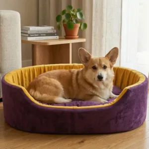 dog bed, premium dog bed, orthopedic dog bed, soft dog bed, pet bed for dogs, comfortable dog bed, washable dog bed, dog bed with cushion, premium orthopedic dog bed for large dogs, soft and comfortable dog bed with cushion, durable dog bed with PU foam support, luxury pet bed for small and medium dogs, breathable dog bed for summer and winter, stylish modern dog bed for home, lightweight dog bed easy to carry, dog bed with bone shape pillow, buy dog bed online India, best dog bed for home use, affordable premium dog bed, high quality pet bed India, dog bed under budget, cozy dog bed, luxury pet comfort bed, soft plush dog bed, designer dog bed, pet sleeping bed, dog sofa bed, dog lounger bed, pet sofa bed, round dog bed, donut dog bed, calming dog bed, anti anxiety dog bed, raised edge dog bed, bolster dog bed, dog bed with side support, dog bed with high walls, puppy bed, small dog bed, medium dog bed, large dog bed, extra large dog bed, indoor dog bed, home pet bed, dog sleeping cushion, thick padded dog bed, fluffy dog bed, soft foam dog bed, PU foam dog bed, fiber filled dog bed, eco friendly dog bed, skin friendly dog bed, hypoallergenic dog bed, non toxic pet bed, durable pet bedding, long lasting dog bed, tear resistant dog bed, chew resistant dog bed, easy to clean dog bed, machine washable pet bed, removable cover dog bed, portable dog bed, travel dog bed, foldable dog bed, lightweight pet bed, luxury dog sofa, premium pet mattress, designer pet furniture, modern pet bed, aesthetic dog bed, comfortable pet mattress, pet relaxation bed, cozy pet nest, warm dog bed for winter, cool breathable dog bed for summer, all season dog bed, anti slip base dog bed, waterproof dog bed, indoor luxury pet bed, dog bed for crate, dog bed for living room, pet accessories dog bed, best selling dog bed, trending pet products, affordable pet bedding India, online pet supplies India
