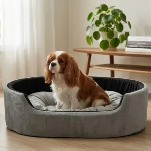 dog bed, premium dog bed, orthopedic dog bed, soft dog bed, pet bed for dogs, comfortable dog bed, washable dog bed, dog bed with cushion, premium orthopedic dog bed for large dogs, soft and comfortable dog bed with cushion, durable dog bed with PU foam support, luxury pet bed for small and medium dogs, breathable dog bed for summer and winter, stylish modern dog bed for home, lightweight dog bed easy to carry, dog bed with bone shape pillow, buy dog bed online India, best dog bed for home use, affordable premium dog bed, high quality pet bed India, dog bed under budget, cozy dog bed, luxury pet comfort bed, soft plush dog bed, designer dog bed, pet sleeping bed, dog sofa bed, dog lounger bed, pet sofa bed, round dog bed, donut dog bed, calming dog bed, anti anxiety dog bed, raised edge dog bed, bolster dog bed, dog bed with side support, dog bed with high walls, puppy bed, small dog bed, medium dog bed, large dog bed, extra large dog bed, indoor dog bed, home pet bed, dog sleeping cushion, thick padded dog bed, fluffy dog bed, soft foam dog bed, PU foam dog bed, fiber filled dog bed, eco friendly dog bed, skin friendly dog bed, hypoallergenic dog bed, non toxic pet bed, durable pet bedding, long lasting dog bed, tear resistant dog bed, chew resistant dog bed, easy to clean dog bed, machine washable pet bed, removable cover dog bed, portable dog bed, travel dog bed, foldable dog bed, lightweight pet bed, luxury dog sofa, premium pet mattress, designer pet furniture, modern pet bed, aesthetic dog bed, comfortable pet mattress, pet relaxation bed, cozy pet nest, warm dog bed for winter, cool breathable dog bed for summer, all season dog bed, anti slip base dog bed, waterproof dog bed, indoor luxury pet bed, dog bed for crate, dog bed for living room, pet accessories dog bed, best selling dog bed, trending pet products, affordable pet bedding India, online pet supplies India