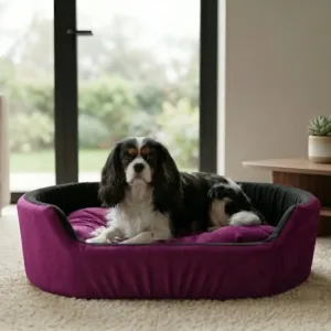 dog bed, premium dog bed, orthopedic dog bed, soft dog bed, pet bed for dogs, comfortable dog bed, washable dog bed, dog bed with cushion, premium orthopedic dog bed for large dogs, soft and comfortable dog bed with cushion, durable dog bed with PU foam support, luxury pet bed for small and medium dogs, breathable dog bed for summer and winter, stylish modern dog bed for home, lightweight dog bed easy to carry, dog bed with bone shape pillow, buy dog bed online India, best dog bed for home use, affordable premium dog bed, high quality pet bed India, dog bed under budget, cozy dog bed, luxury pet comfort bed, soft plush dog bed, designer dog bed, pet sleeping bed, dog sofa bed, dog lounger bed, pet sofa bed, round dog bed, donut dog bed, calming dog bed, anti anxiety dog bed, raised edge dog bed, bolster dog bed, dog bed with side support, dog bed with high walls, puppy bed, small dog bed, medium dog bed, large dog bed, extra large dog bed, indoor dog bed, home pet bed, dog sleeping cushion, thick padded dog bed, fluffy dog bed, soft foam dog bed, PU foam dog bed, fiber filled dog bed, eco friendly dog bed, skin friendly dog bed, hypoallergenic dog bed, non toxic pet bed, durable pet bedding, long lasting dog bed, tear resistant dog bed, chew resistant dog bed, easy to clean dog bed, machine washable pet bed, removable cover dog bed, portable dog bed, travel dog bed, foldable dog bed, lightweight pet bed, luxury dog sofa, premium pet mattress, designer pet furniture, modern pet bed, aesthetic dog bed, comfortable pet mattress, pet relaxation bed, cozy pet nest, warm dog bed for winter, cool breathable dog bed for summer, all season dog bed, anti slip base dog bed, waterproof dog bed, indoor luxury pet bed, dog bed for crate, dog bed for living room, pet accessories dog bed, best selling dog bed, trending pet products, affordable pet bedding India, online pet supplies India