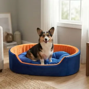 dog bed, premium dog bed, orthopedic dog bed, soft dog bed, pet bed for dogs, comfortable dog bed, washable dog bed, dog bed with cushion, premium orthopedic dog bed for large dogs, soft and comfortable dog bed with cushion, durable dog bed with PU foam support, luxury pet bed for small and medium dogs, breathable dog bed for summer and winter, stylish modern dog bed for home, lightweight dog bed easy to carry, dog bed with bone shape pillow, buy dog bed online India, best dog bed for home use, affordable premium dog bed, high quality pet bed India, dog bed under budget, cozy dog bed, luxury pet comfort bed, soft plush dog bed, designer dog bed, pet sleeping bed, dog sofa bed, dog lounger bed, pet sofa bed, round dog bed, donut dog bed, calming dog bed, anti anxiety dog bed, raised edge dog bed, bolster dog bed, dog bed with side support, dog bed with high walls, puppy bed, small dog bed, medium dog bed, large dog bed, extra large dog bed, indoor dog bed, home pet bed, dog sleeping cushion, thick padded dog bed, fluffy dog bed, soft foam dog bed, PU foam dog bed, fiber filled dog bed, eco friendly dog bed, skin friendly dog bed, hypoallergenic dog bed, non toxic pet bed, durable pet bedding, long lasting dog bed, tear resistant dog bed, chew resistant dog bed, easy to clean dog bed, machine washable pet bed, removable cover dog bed, portable dog bed, travel dog bed, foldable dog bed, lightweight pet bed, luxury dog sofa, premium pet mattress, designer pet furniture, modern pet bed, aesthetic dog bed, comfortable pet mattress, pet relaxation bed, cozy pet nest, warm dog bed for winter, cool breathable dog bed for summer, all season dog bed, anti slip base dog bed, waterproof dog bed, indoor luxury pet bed, dog bed for crate, dog bed for living room, pet accessories dog bed, best selling dog bed, trending pet products, affordable pet bedding India, online pet supplies India