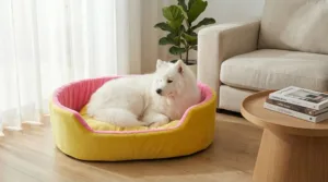 dog bed, premium dog bed, orthopedic dog bed, soft dog bed, pet bed for dogs, comfortable dog bed, washable dog bed, dog bed with cushion, premium orthopedic dog bed for large dogs, soft and comfortable dog bed with cushion, durable dog bed with PU foam support, luxury pet bed for small and medium dogs, breathable dog bed for summer and winter, stylish modern dog bed for home, lightweight dog bed easy to carry, dog bed with bone shape pillow, buy dog bed online India, best dog bed for home use, affordable premium dog bed, high quality pet bed India, dog bed under budget, cozy dog bed, luxury pet comfort bed, soft plush dog bed, designer dog bed, pet sleeping bed, dog sofa bed, dog lounger bed, pet sofa bed, round dog bed, donut dog bed, calming dog bed, anti anxiety dog bed, raised edge dog bed, bolster dog bed, dog bed with side support, dog bed with high walls, puppy bed, small dog bed, medium dog bed, large dog bed, extra large dog bed, indoor dog bed, home pet bed, dog sleeping cushion, thick padded dog bed, fluffy dog bed, soft foam dog bed, PU foam dog bed, fiber filled dog bed, eco friendly dog bed, skin friendly dog bed, hypoallergenic dog bed, non toxic pet bed, durable pet bedding, long lasting dog bed, tear resistant dog bed, chew resistant dog bed, easy to clean dog bed, machine washable pet bed, removable cover dog bed, portable dog bed, travel dog bed, foldable dog bed, lightweight pet bed, luxury dog sofa, premium pet mattress, designer pet furniture, modern pet bed, aesthetic dog bed, comfortable pet mattress, pet relaxation bed, cozy pet nest, warm dog bed for winter, cool breathable dog bed for summer, all season dog bed, anti slip base dog bed, waterproof dog bed, indoor luxury pet bed, dog bed for crate, dog bed for living room, pet accessories dog bed, best selling dog bed, trending pet products, affordable pet bedding India, online pet supplies India