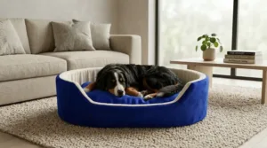dog bed, premium dog bed, orthopedic dog bed, soft dog bed, pet bed for dogs, comfortable dog bed, washable dog bed, dog bed with cushion, premium orthopedic dog bed for large dogs, soft and comfortable dog bed with cushion, durable dog bed with PU foam support, luxury pet bed for small and medium dogs, breathable dog bed for summer and winter, stylish modern dog bed for home, lightweight dog bed easy to carry, dog bed with bone shape pillow, buy dog bed online India, best dog bed for home use, affordable premium dog bed, high quality pet bed India, dog bed under budget, cozy dog bed, luxury pet comfort bed, soft plush dog bed, designer dog bed, pet sleeping bed, dog sofa bed, dog lounger bed, pet sofa bed, round dog bed, donut dog bed, calming dog bed, anti anxiety dog bed, raised edge dog bed, bolster dog bed, dog bed with side support, dog bed with high walls, puppy bed, small dog bed, medium dog bed, large dog bed, extra large dog bed, indoor dog bed, home pet bed, dog sleeping cushion, thick padded dog bed, fluffy dog bed, soft foam dog bed, PU foam dog bed, fiber filled dog bed, eco friendly dog bed, skin friendly dog bed, hypoallergenic dog bed, non toxic pet bed, durable pet bedding, long lasting dog bed, tear resistant dog bed, chew resistant dog bed, easy to clean dog bed, machine washable pet bed, removable cover dog bed, portable dog bed, travel dog bed, foldable dog bed, lightweight pet bed, luxury dog sofa, premium pet mattress, designer pet furniture, modern pet bed, aesthetic dog bed, comfortable pet mattress, pet relaxation bed, cozy pet nest, warm dog bed for winter, cool breathable dog bed for summer, all season dog bed, anti slip base dog bed, waterproof dog bed, indoor luxury pet bed, dog bed for crate, dog bed for living room, pet accessories dog bed, best selling dog bed, trending pet products, affordable pet bedding India, online pet supplies India