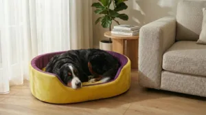 dog bed, premium dog bed, orthopedic dog bed, soft dog bed, pet bed for dogs, comfortable dog bed, washable dog bed, dog bed with cushion, premium orthopedic dog bed for large dogs, soft and comfortable dog bed with cushion, durable dog bed with PU foam support, luxury pet bed for small and medium dogs, breathable dog bed for summer and winter, stylish modern dog bed for home, lightweight dog bed easy to carry, dog bed with bone shape pillow, buy dog bed online India, best dog bed for home use, affordable premium dog bed, high quality pet bed India, dog bed under budget, cozy dog bed, luxury pet comfort bed, soft plush dog bed, designer dog bed, pet sleeping bed, dog sofa bed, dog lounger bed, pet sofa bed, round dog bed, donut dog bed, calming dog bed, anti anxiety dog bed, raised edge dog bed, bolster dog bed, dog bed with side support, dog bed with high walls, puppy bed, small dog bed, medium dog bed, large dog bed, extra large dog bed, indoor dog bed, home pet bed, dog sleeping cushion, thick padded dog bed, fluffy dog bed, soft foam dog bed, PU foam dog bed, fiber filled dog bed, eco friendly dog bed, skin friendly dog bed, hypoallergenic dog bed, non toxic pet bed, durable pet bedding, long lasting dog bed, tear resistant dog bed, chew resistant dog bed, easy to clean dog bed, machine washable pet bed, removable cover dog bed, portable dog bed, travel dog bed, foldable dog bed, lightweight pet bed, luxury dog sofa, premium pet mattress, designer pet furniture, modern pet bed, aesthetic dog bed, comfortable pet mattress, pet relaxation bed, cozy pet nest, warm dog bed for winter, cool breathable dog bed for summer, all season dog bed, anti slip base dog bed, waterproof dog bed, indoor luxury pet bed, dog bed for crate, dog bed for living room, pet accessories dog bed, best selling dog bed, trending pet products, affordable pet bedding India, online pet supplies India