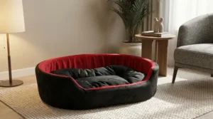 dog bed, premium dog bed, orthopedic dog bed, soft dog bed, pet bed for dogs, comfortable dog bed, washable dog bed, dog bed with cushion, premium orthopedic dog bed for large dogs, soft and comfortable dog bed with cushion, durable dog bed with PU foam support, luxury pet bed for small and medium dogs, breathable dog bed for summer and winter, stylish modern dog bed for home, lightweight dog bed easy to carry, dog bed with bone shape pillow, buy dog bed online India, best dog bed for home use, affordable premium dog bed, high quality pet bed India, dog bed under budget, cozy dog bed, luxury pet comfort bed, soft plush dog bed, designer dog bed, pet sleeping bed, dog sofa bed, dog lounger bed, pet sofa bed, round dog bed, donut dog bed, calming dog bed, anti anxiety dog bed, raised edge dog bed, bolster dog bed, dog bed with side support, dog bed with high walls, puppy bed, small dog bed, medium dog bed, large dog bed, extra large dog bed, indoor dog bed, home pet bed, dog sleeping cushion, thick padded dog bed, fluffy dog bed, soft foam dog bed, PU foam dog bed, fiber filled dog bed, eco friendly dog bed, skin friendly dog bed, hypoallergenic dog bed, non toxic pet bed, durable pet bedding, long lasting dog bed, tear resistant dog bed, chew resistant dog bed, easy to clean dog bed, machine washable pet bed, removable cover dog bed, portable dog bed, travel dog bed, foldable dog bed, lightweight pet bed, luxury dog sofa, premium pet mattress, designer pet furniture, modern pet bed, aesthetic dog bed, comfortable pet mattress, pet relaxation bed, cozy pet nest, warm dog bed for winter, cool breathable dog bed for summer, all season dog bed, anti slip base dog bed, waterproof dog bed, indoor luxury pet bed, dog bed for crate, dog bed for living room, pet accessories dog bed, best selling dog bed, trending pet products, affordable pet bedding India, online pet supplies India