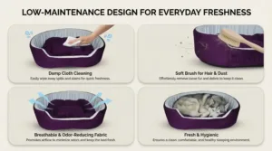dog bed, premium dog bed, orthopedic dog bed, soft dog bed, pet bed for dogs, comfortable dog bed, washable dog bed, dog bed with cushion, premium orthopedic dog bed for large dogs, soft and comfortable dog bed with cushion, durable dog bed with PU foam support, luxury pet bed for small and medium dogs, breathable dog bed for summer and winter, stylish modern dog bed for home, lightweight dog bed easy to carry, dog bed with bone shape pillow, buy dog bed online India, best dog bed for home use, affordable premium dog bed, high quality pet bed India, dog bed under budget, cozy dog bed, luxury pet comfort bed, soft plush dog bed, designer dog bed, pet sleeping bed, dog sofa bed, dog lounger bed, pet sofa bed, round dog bed, donut dog bed, calming dog bed, anti anxiety dog bed, raised edge dog bed, bolster dog bed, dog bed with side support, dog bed with high walls, puppy bed, small dog bed, medium dog bed, large dog bed, extra large dog bed, indoor dog bed, home pet bed, dog sleeping cushion, thick padded dog bed, fluffy dog bed, soft foam dog bed, PU foam dog bed, fiber filled dog bed, eco friendly dog bed, skin friendly dog bed, hypoallergenic dog bed, non toxic pet bed, durable pet bedding, long lasting dog bed, tear resistant dog bed, chew resistant dog bed, easy to clean dog bed, machine washable pet bed, removable cover dog bed, portable dog bed, travel dog bed, foldable dog bed, lightweight pet bed, luxury dog sofa, premium pet mattress, designer pet furniture, modern pet bed, aesthetic dog bed, comfortable pet mattress, pet relaxation bed, cozy pet nest, warm dog bed for winter, cool breathable dog bed for summer, all season dog bed, anti slip base dog bed, waterproof dog bed, indoor luxury pet bed, dog bed for crate, dog bed for living room, pet accessories dog bed, best selling dog bed, trending pet products, affordable pet bedding India, online pet supplies India