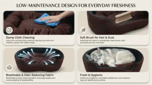 dog bed, premium dog bed, orthopedic dog bed, soft dog bed, pet bed for dogs, comfortable dog bed, washable dog bed, dog bed with cushion, premium orthopedic dog bed for large dogs, soft and comfortable dog bed with cushion, durable dog bed with PU foam support, luxury pet bed for small and medium dogs, breathable dog bed for summer and winter, stylish modern dog bed for home, lightweight dog bed easy to carry, dog bed with bone shape pillow, buy dog bed online India, best dog bed for home use, affordable premium dog bed, high quality pet bed India, dog bed under budget, cozy dog bed, luxury pet comfort bed, soft plush dog bed, designer dog bed, pet sleeping bed, dog sofa bed, dog lounger bed, pet sofa bed, round dog bed, donut dog bed, calming dog bed, anti anxiety dog bed, raised edge dog bed, bolster dog bed, dog bed with side support, dog bed with high walls, puppy bed, small dog bed, medium dog bed, large dog bed, extra large dog bed, indoor dog bed, home pet bed, dog sleeping cushion, thick padded dog bed, fluffy dog bed, soft foam dog bed, PU foam dog bed, fiber filled dog bed, eco friendly dog bed, skin friendly dog bed, hypoallergenic dog bed, non toxic pet bed, durable pet bedding, long lasting dog bed, tear resistant dog bed, chew resistant dog bed, easy to clean dog bed, machine washable pet bed, removable cover dog bed, portable dog bed, travel dog bed, foldable dog bed, lightweight pet bed, luxury dog sofa, premium pet mattress, designer pet furniture, modern pet bed, aesthetic dog bed, comfortable pet mattress, pet relaxation bed, cozy pet nest, warm dog bed for winter, cool breathable dog bed for summer, all season dog bed, anti slip base dog bed, waterproof dog bed, indoor luxury pet bed, dog bed for crate, dog bed for living room, pet accessories dog bed, best selling dog bed, trending pet products, affordable pet bedding India, online pet supplies India