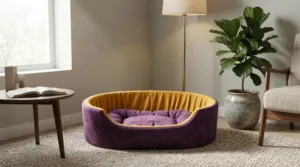 dog bed, premium dog bed, orthopedic dog bed, soft dog bed, pet bed for dogs, comfortable dog bed, washable dog bed, dog bed with cushion, premium orthopedic dog bed for large dogs, soft and comfortable dog bed with cushion, durable dog bed with PU foam support, luxury pet bed for small and medium dogs, breathable dog bed for summer and winter, stylish modern dog bed for home, lightweight dog bed easy to carry, dog bed with bone shape pillow, buy dog bed online India, best dog bed for home use, affordable premium dog bed, high quality pet bed India, dog bed under budget, cozy dog bed, luxury pet comfort bed, soft plush dog bed, designer dog bed, pet sleeping bed, dog sofa bed, dog lounger bed, pet sofa bed, round dog bed, donut dog bed, calming dog bed, anti anxiety dog bed, raised edge dog bed, bolster dog bed, dog bed with side support, dog bed with high walls, puppy bed, small dog bed, medium dog bed, large dog bed, extra large dog bed, indoor dog bed, home pet bed, dog sleeping cushion, thick padded dog bed, fluffy dog bed, soft foam dog bed, PU foam dog bed, fiber filled dog bed, eco friendly dog bed, skin friendly dog bed, hypoallergenic dog bed, non toxic pet bed, durable pet bedding, long lasting dog bed, tear resistant dog bed, chew resistant dog bed, easy to clean dog bed, machine washable pet bed, removable cover dog bed, portable dog bed, travel dog bed, foldable dog bed, lightweight pet bed, luxury dog sofa, premium pet mattress, designer pet furniture, modern pet bed, aesthetic dog bed, comfortable pet mattress, pet relaxation bed, cozy pet nest, warm dog bed for winter, cool breathable dog bed for summer, all season dog bed, anti slip base dog bed, waterproof dog bed, indoor luxury pet bed, dog bed for crate, dog bed for living room, pet accessories dog bed, best selling dog bed, trending pet products, affordable pet bedding India, online pet supplies India
