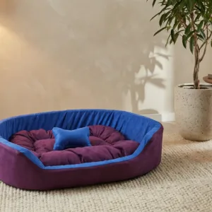 dog bed, premium dog bed, orthopedic dog bed, soft dog bed, pet bed for dogs, comfortable dog bed, washable dog bed, dog bed with cushion, premium orthopedic dog bed for large dogs, soft and comfortable dog bed with cushion, durable dog bed with PU foam support, luxury pet bed for small and medium dogs, breathable dog bed for summer and winter, stylish modern dog bed for home, lightweight dog bed easy to carry, dog bed with bone shape pillow, buy dog bed online India, best dog bed for home use, affordable premium dog bed, high quality pet bed India, dog bed under budget, cozy dog bed, luxury pet comfort bed, soft plush dog bed, designer dog bed, pet sleeping bed, dog sofa bed, dog lounger bed, pet sofa bed, round dog bed, donut dog bed, calming dog bed, anti anxiety dog bed, raised edge dog bed, bolster dog bed, dog bed with side support, dog bed with high walls, puppy bed, small dog bed, medium dog bed, large dog bed, extra large dog bed, indoor dog bed, home pet bed, dog sleeping cushion, thick padded dog bed, fluffy dog bed, soft foam dog bed, PU foam dog bed, fiber filled dog bed, eco friendly dog bed, skin friendly dog bed, hypoallergenic dog bed, non toxic pet bed, durable pet bedding, long lasting dog bed, tear resistant dog bed, chew resistant dog bed, easy to clean dog bed, machine washable pet bed, removable cover dog bed, portable dog bed, travel dog bed, foldable dog bed, lightweight pet bed, luxury dog sofa, premium pet mattress, designer pet furniture, modern pet bed, aesthetic dog bed, comfortable pet mattress, pet relaxation bed, cozy pet nest, warm dog bed for winter, cool breathable dog bed for summer, all season dog bed, anti slip base dog bed, waterproof dog bed, indoor luxury pet bed, dog bed for crate, dog bed for living room, pet accessories dog bed, best selling dog bed, trending pet products, affordable pet bedding India, online pet supplies India