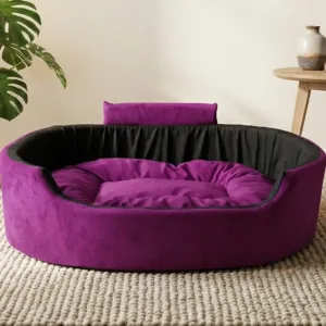 Bolster Orthopedic Dog Bed, dog bed, premium dog bed, orthopedic dog bed, soft dog bed, pet bed for dogs, comfortable dog bed, washable dog bed, dog bed with cushion, premium orthopedic dog bed for large dogs, soft and comfortable dog bed with cushion, durable dog bed with PU foam support, luxury pet bed for small and medium dogs, breathable dog bed for summer and winter, stylish modern dog bed for home, lightweight dog bed easy to carry, dog bed with bone shape pillow, buy dog bed online India, best dog bed for home use, affordable premium dog bed, high quality pet bed India, dog bed under budget, cozy dog bed, luxury pet comfort bed, soft plush dog bed, designer dog bed, pet sleeping bed, dog sofa bed, dog lounger bed, pet sofa bed, round dog bed, donut dog bed, calming dog bed, anti anxiety dog bed, raised edge dog bed, bolster dog bed, dog bed with side support, dog bed with high walls, puppy bed, small dog bed, medium dog bed, large dog bed, extra large dog bed, indoor dog bed, home pet bed, dog sleeping cushion, thick padded dog bed, fluffy dog bed, soft foam dog bed, PU foam dog bed, fiber filled dog bed, eco friendly dog bed, skin friendly dog bed, hypoallergenic dog bed, non toxic pet bed, durable pet bedding, long lasting dog bed, tear resistant dog bed, chew resistant dog bed, easy to clean dog bed, machine washable pet bed, removable cover dog bed, portable dog bed, travel dog bed, foldable dog bed, lightweight pet bed, luxury dog sofa, premium pet mattress, designer pet furniture, modern pet bed, aesthetic dog bed, comfortable pet mattress, pet relaxation bed, cozy pet nest, warm dog bed for winter, cool breathable dog bed for summer, all season dog bed, anti slip base dog bed, waterproof dog bed, indoor luxury pet bed, dog bed for crate, dog bed for living room, pet accessories dog bed, best selling dog bed, trending pet products, affordable pet bedding India, online pet supplies India