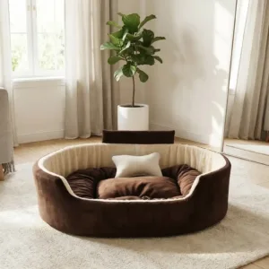 Bolster Orthopedic Dog Bed, dog bed, premium dog bed, orthopedic dog bed, soft dog bed, pet bed for dogs, comfortable dog bed, washable dog bed, dog bed with cushion, premium orthopedic dog bed for large dogs, soft and comfortable dog bed with cushion, durable dog bed with PU foam support, luxury pet bed for small and medium dogs, breathable dog bed for summer and winter, stylish modern dog bed for home, lightweight dog bed easy to carry, dog bed with bone shape pillow, buy dog bed online India, best dog bed for home use, affordable premium dog bed, high quality pet bed India, dog bed under budget, cozy dog bed, luxury pet comfort bed, soft plush dog bed, designer dog bed, pet sleeping bed, dog sofa bed, dog lounger bed, pet sofa bed, round dog bed, donut dog bed, calming dog bed, anti anxiety dog bed, raised edge dog bed, bolster dog bed, dog bed with side support, dog bed with high walls, puppy bed, small dog bed, medium dog bed, large dog bed, extra large dog bed, indoor dog bed, home pet bed, dog sleeping cushion, thick padded dog bed, fluffy dog bed, soft foam dog bed, PU foam dog bed, fiber filled dog bed, eco friendly dog bed, skin friendly dog bed, hypoallergenic dog bed, non toxic pet bed, durable pet bedding, long lasting dog bed, tear resistant dog bed, chew resistant dog bed, easy to clean dog bed, machine washable pet bed, removable cover dog bed, portable dog bed, travel dog bed, foldable dog bed, lightweight pet bed, luxury dog sofa, premium pet mattress, designer pet furniture, modern pet bed, aesthetic dog bed, comfortable pet mattress, pet relaxation bed, cozy pet nest, warm dog bed for winter, cool breathable dog bed for summer, all season dog bed, anti slip base dog bed, waterproof dog bed, indoor luxury pet bed, dog bed for crate, dog bed for living room, pet accessories dog bed, best selling dog bed, trending pet products, affordable pet bedding India, online pet supplies India