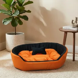 dog bed, premium dog bed, orthopedic dog bed, soft dog bed, pet bed for dogs, comfortable dog bed, washable dog bed, dog bed with cushion, premium orthopedic dog bed for large dogs, soft and comfortable dog bed with cushion, durable dog bed with PU foam support, luxury pet bed for small and medium dogs, breathable dog bed for summer and winter, stylish modern dog bed for home, lightweight dog bed easy to carry, dog bed with bone shape pillow, buy dog bed online India, best dog bed for home use, affordable premium dog bed, high quality pet bed India, dog bed under budget, cozy dog bed, luxury pet comfort bed, soft plush dog bed, designer dog bed, pet sleeping bed, dog sofa bed, dog lounger bed, pet sofa bed, round dog bed, donut dog bed, calming dog bed, anti anxiety dog bed, raised edge dog bed, bolster dog bed, dog bed with side support, dog bed with high walls, puppy bed, small dog bed, medium dog bed, large dog bed, extra large dog bed, indoor dog bed, home pet bed, dog sleeping cushion, thick padded dog bed, fluffy dog bed, soft foam dog bed, PU foam dog bed, fiber filled dog bed, eco friendly dog bed, skin friendly dog bed, hypoallergenic dog bed, non toxic pet bed, durable pet bedding, long lasting dog bed, tear resistant dog bed, chew resistant dog bed, easy to clean dog bed, machine washable pet bed, removable cover dog bed, portable dog bed, travel dog bed, foldable dog bed, lightweight pet bed, luxury dog sofa, premium pet mattress, designer pet furniture, modern pet bed, aesthetic dog bed, comfortable pet mattress, pet relaxation bed, cozy pet nest, warm dog bed for winter, cool breathable dog bed for summer, all season dog bed, anti slip base dog bed, waterproof dog bed, indoor luxury pet bed, dog bed for crate, dog bed for living room, pet accessories dog bed, best selling dog bed, trending pet products, affordable pet bedding India, online pet supplies India