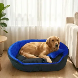 dog bed, premium dog bed, orthopedic dog bed, soft dog bed, pet bed for dogs, comfortable dog bed, washable dog bed, dog bed with cushion, premium orthopedic dog bed for large dogs, soft and comfortable dog bed with cushion, durable dog bed with PU foam support, luxury pet bed for small and medium dogs, breathable dog bed for summer and winter, stylish modern dog bed for home, lightweight dog bed easy to carry, dog bed with bone shape pillow, buy dog bed online India, best dog bed for home use, affordable premium dog bed, high quality pet bed India, dog bed under budget, cozy dog bed, luxury pet comfort bed, soft plush dog bed, designer dog bed, pet sleeping bed, dog sofa bed, dog lounger bed, pet sofa bed, round dog bed, donut dog bed, calming dog bed, anti anxiety dog bed, raised edge dog bed, bolster dog bed, dog bed with side support, dog bed with high walls, puppy bed, small dog bed, medium dog bed, large dog bed, extra large dog bed, indoor dog bed, home pet bed, dog sleeping cushion, thick padded dog bed, fluffy dog bed, soft foam dog bed, PU foam dog bed, fiber filled dog bed, eco friendly dog bed, skin friendly dog bed, hypoallergenic dog bed, non toxic pet bed, durable pet bedding, long lasting dog bed, tear resistant dog bed, chew resistant dog bed, easy to clean dog bed, machine washable pet bed, removable cover dog bed, portable dog bed, travel dog bed, foldable dog bed, lightweight pet bed, luxury dog sofa, premium pet mattress, designer pet furniture, modern pet bed, aesthetic dog bed, comfortable pet mattress, pet relaxation bed, cozy pet nest, warm dog bed for winter, cool breathable dog bed for summer, all season dog bed, anti slip base dog bed, waterproof dog bed, indoor luxury pet bed, dog bed for crate, dog bed for living room, pet accessories dog bed, best selling dog bed, trending pet products, affordable pet bedding India, online pet supplies India
