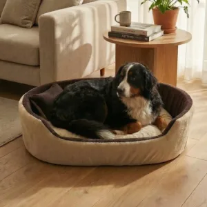 dog bed, premium dog bed, orthopedic dog bed, soft dog bed, pet bed for dogs, comfortable dog bed, washable dog bed, dog bed with cushion, premium orthopedic dog bed for large dogs, soft and comfortable dog bed with cushion, durable dog bed with PU foam support, luxury pet bed for small and medium dogs, breathable dog bed for summer and winter, stylish modern dog bed for home, lightweight dog bed easy to carry, dog bed with bone shape pillow, buy dog bed online India, best dog bed for home use, affordable premium dog bed, high quality pet bed India, dog bed under budget, cozy dog bed, luxury pet comfort bed, soft plush dog bed, designer dog bed, pet sleeping bed, dog sofa bed, dog lounger bed, pet sofa bed, round dog bed, donut dog bed, calming dog bed, anti anxiety dog bed, raised edge dog bed, bolster dog bed, dog bed with side support, dog bed with high walls, puppy bed, small dog bed, medium dog bed, large dog bed, extra large dog bed, indoor dog bed, home pet bed, dog sleeping cushion, thick padded dog bed, fluffy dog bed, soft foam dog bed, PU foam dog bed, fiber filled dog bed, eco friendly dog bed, skin friendly dog bed, hypoallergenic dog bed, non toxic pet bed, durable pet bedding, long lasting dog bed, tear resistant dog bed, chew resistant dog bed, easy to clean dog bed, machine washable pet bed, removable cover dog bed, portable dog bed, travel dog bed, foldable dog bed, lightweight pet bed, luxury dog sofa, premium pet mattress, designer pet furniture, modern pet bed, aesthetic dog bed, comfortable pet mattress, pet relaxation bed, cozy pet nest, warm dog bed for winter, cool breathable dog bed for summer, all season dog bed, anti slip base dog bed, waterproof dog bed, indoor luxury pet bed, dog bed for crate, dog bed for living room, pet accessories dog bed, best selling dog bed, trending pet products, affordable pet bedding India, online pet supplies India