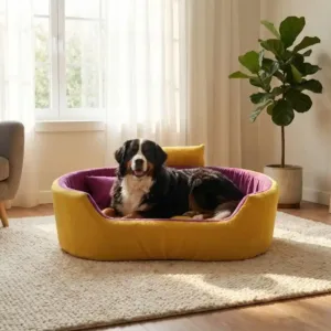 Bolster Orthopedic Dog Bed, dog bed, premium dog bed, orthopedic dog bed, soft dog bed, pet bed for dogs, comfortable dog bed, washable dog bed, dog bed with cushion, premium orthopedic dog bed for large dogs, soft and comfortable dog bed with cushion, durable dog bed with PU foam support, luxury pet bed for small and medium dogs, breathable dog bed for summer and winter, stylish modern dog bed for home, lightweight dog bed easy to carry, dog bed with bone shape pillow, buy dog bed online India, best dog bed for home use, affordable premium dog bed, high quality pet bed India, dog bed under budget, cozy dog bed, luxury pet comfort bed, soft plush dog bed, designer dog bed, pet sleeping bed, dog sofa bed, dog lounger bed, pet sofa bed, round dog bed, donut dog bed, calming dog bed, anti anxiety dog bed, raised edge dog bed, bolster dog bed, dog bed with side support, dog bed with high walls, puppy bed, small dog bed, medium dog bed, large dog bed, extra large dog bed, indoor dog bed, home pet bed, dog sleeping cushion, thick padded dog bed, fluffy dog bed, soft foam dog bed, PU foam dog bed, fiber filled dog bed, eco friendly dog bed, skin friendly dog bed, hypoallergenic dog bed, non toxic pet bed, durable pet bedding, long lasting dog bed, tear resistant dog bed, chew resistant dog bed, easy to clean dog bed, machine washable pet bed, removable cover dog bed, portable dog bed, travel dog bed, foldable dog bed, lightweight pet bed, luxury dog sofa, premium pet mattress, designer pet furniture, modern pet bed, aesthetic dog bed, comfortable pet mattress, pet relaxation bed, cozy pet nest, warm dog bed for winter, cool breathable dog bed for summer, all season dog bed, anti slip base dog bed, waterproof dog bed, indoor luxury pet bed, dog bed for crate, dog bed for living room, pet accessories dog bed, best selling dog bed, trending pet products, affordable pet bedding India, online pet supplies India