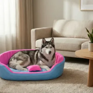 dog bed, premium dog bed, orthopedic dog bed, soft dog bed, pet bed for dogs, comfortable dog bed, washable dog bed, dog bed with cushion, premium orthopedic dog bed for large dogs, soft and comfortable dog bed with cushion, durable dog bed with PU foam support, luxury pet bed for small and medium dogs, breathable dog bed for summer and winter, stylish modern dog bed for home, lightweight dog bed easy to carry, dog bed with bone shape pillow, buy dog bed online India, best dog bed for home use, affordable premium dog bed, high quality pet bed India, dog bed under budget, cozy dog bed, luxury pet comfort bed, soft plush dog bed, designer dog bed, pet sleeping bed, dog sofa bed, dog lounger bed, pet sofa bed, round dog bed, donut dog bed, calming dog bed, anti anxiety dog bed, raised edge dog bed, bolster dog bed, dog bed with side support, dog bed with high walls, puppy bed, small dog bed, medium dog bed, large dog bed, extra large dog bed, indoor dog bed, home pet bed, dog sleeping cushion, thick padded dog bed, fluffy dog bed, soft foam dog bed, PU foam dog bed, fiber filled dog bed, eco friendly dog bed, skin friendly dog bed, hypoallergenic dog bed, non toxic pet bed, durable pet bedding, long lasting dog bed, tear resistant dog bed, chew resistant dog bed, easy to clean dog bed, machine washable pet bed, removable cover dog bed, portable dog bed, travel dog bed, foldable dog bed, lightweight pet bed, luxury dog sofa, premium pet mattress, designer pet furniture, modern pet bed, aesthetic dog bed, comfortable pet mattress, pet relaxation bed, cozy pet nest, warm dog bed for winter, cool breathable dog bed for summer, all season dog bed, anti slip base dog bed, waterproof dog bed, indoor luxury pet bed, dog bed for crate, dog bed for living room, pet accessories dog bed, best selling dog bed, trending pet products, affordable pet bedding India, online pet supplies India