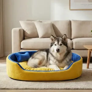 dog bed, premium dog bed, orthopedic dog bed, soft dog bed, pet bed for dogs, comfortable dog bed, washable dog bed, dog bed with cushion, premium orthopedic dog bed for large dogs, soft and comfortable dog bed with cushion, durable dog bed with PU foam support, luxury pet bed for small and medium dogs, breathable dog bed for summer and winter, stylish modern dog bed for home, lightweight dog bed easy to carry, dog bed with bone shape pillow, buy dog bed online India, best dog bed for home use, affordable premium dog bed, high quality pet bed India, dog bed under budget, cozy dog bed, luxury pet comfort bed, soft plush dog bed, designer dog bed, pet sleeping bed, dog sofa bed, dog lounger bed, pet sofa bed, round dog bed, donut dog bed, calming dog bed, anti anxiety dog bed, raised edge dog bed, bolster dog bed, dog bed with side support, dog bed with high walls, puppy bed, small dog bed, medium dog bed, large dog bed, extra large dog bed, indoor dog bed, home pet bed, dog sleeping cushion, thick padded dog bed, fluffy dog bed, soft foam dog bed, PU foam dog bed, fiber filled dog bed, eco friendly dog bed, skin friendly dog bed, hypoallergenic dog bed, non toxic pet bed, durable pet bedding, long lasting dog bed, tear resistant dog bed, chew resistant dog bed, easy to clean dog bed, machine washable pet bed, removable cover dog bed, portable dog bed, travel dog bed, foldable dog bed, lightweight pet bed, luxury dog sofa, premium pet mattress, designer pet furniture, modern pet bed, aesthetic dog bed, comfortable pet mattress, pet relaxation bed, cozy pet nest, warm dog bed for winter, cool breathable dog bed for summer, all season dog bed, anti slip base dog bed, waterproof dog bed, indoor luxury pet bed, dog bed for crate, dog bed for living room, pet accessories dog bed, best selling dog bed, trending pet products, affordable pet bedding India, online pet supplies India