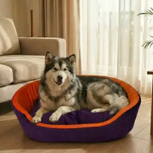 dog bed, premium dog bed, orthopedic dog bed, soft dog bed, pet bed for dogs, comfortable dog bed, washable dog bed, dog bed with cushion, premium orthopedic dog bed for large dogs, soft and comfortable dog bed with cushion, durable dog bed with PU foam support, luxury pet bed for small and medium dogs, breathable dog bed for summer and winter, stylish modern dog bed for home, lightweight dog bed easy to carry, dog bed with bone shape pillow, buy dog bed online India, best dog bed for home use, affordable premium dog bed, high quality pet bed India, dog bed under budget, cozy dog bed, luxury pet comfort bed, soft plush dog bed, designer dog bed, pet sleeping bed, dog sofa bed, dog lounger bed, pet sofa bed, round dog bed, donut dog bed, calming dog bed, anti anxiety dog bed, raised edge dog bed, bolster dog bed, dog bed with side support, dog bed with high walls, puppy bed, small dog bed, medium dog bed, large dog bed, extra large dog bed, indoor dog bed, home pet bed, dog sleeping cushion, thick padded dog bed, fluffy dog bed, soft foam dog bed, PU foam dog bed, fiber filled dog bed, eco friendly dog bed, skin friendly dog bed, hypoallergenic dog bed, non toxic pet bed, durable pet bedding, long lasting dog bed, tear resistant dog bed, chew resistant dog bed, easy to clean dog bed, machine washable pet bed, removable cover dog bed, portable dog bed, travel dog bed, foldable dog bed, lightweight pet bed, luxury dog sofa, premium pet mattress, designer pet furniture, modern pet bed, aesthetic dog bed, comfortable pet mattress, pet relaxation bed, cozy pet nest, warm dog bed for winter, cool breathable dog bed for summer, all season dog bed, anti slip base dog bed, waterproof dog bed, indoor luxury pet bed, dog bed for crate, dog bed for living room, pet accessories dog bed, best selling dog bed, trending pet products, affordable pet bedding India, online pet supplies India