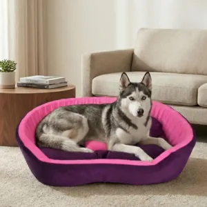 dog bed, premium dog bed, orthopedic dog bed, soft dog bed, pet bed for dogs, comfortable dog bed, washable dog bed, dog bed with cushion, premium orthopedic dog bed for large dogs, soft and comfortable dog bed with cushion, durable dog bed with PU foam support, luxury pet bed for small and medium dogs, breathable dog bed for summer and winter, stylish modern dog bed for home, lightweight dog bed easy to carry, dog bed with bone shape pillow, buy dog bed online India, best dog bed for home use, affordable premium dog bed, high quality pet bed India, dog bed under budget, cozy dog bed, luxury pet comfort bed, soft plush dog bed, designer dog bed, pet sleeping bed, dog sofa bed, dog lounger bed, pet sofa bed, round dog bed, donut dog bed, calming dog bed, anti anxiety dog bed, raised edge dog bed, bolster dog bed, dog bed with side support, dog bed with high walls, puppy bed, small dog bed, medium dog bed, large dog bed, extra large dog bed, indoor dog bed, home pet bed, dog sleeping cushion, thick padded dog bed, fluffy dog bed, soft foam dog bed, PU foam dog bed, fiber filled dog bed, eco friendly dog bed, skin friendly dog bed, hypoallergenic dog bed, non toxic pet bed, durable pet bedding, long lasting dog bed, tear resistant dog bed, chew resistant dog bed, easy to clean dog bed, machine washable pet bed, removable cover dog bed, portable dog bed, travel dog bed, foldable dog bed, lightweight pet bed, luxury dog sofa, premium pet mattress, designer pet furniture, modern pet bed, aesthetic dog bed, comfortable pet mattress, pet relaxation bed, cozy pet nest, warm dog bed for winter, cool breathable dog bed for summer, all season dog bed, anti slip base dog bed, waterproof dog bed, indoor luxury pet bed, dog bed for crate, dog bed for living room, pet accessories dog bed, best selling dog bed, trending pet products, affordable pet bedding India, online pet supplies India