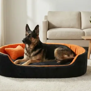 dog bed, premium dog bed, orthopedic dog bed, soft dog bed, pet bed for dogs, comfortable dog bed, washable dog bed, dog bed with cushion, premium orthopedic dog bed for large dogs, soft and comfortable dog bed with cushion, durable dog bed with PU foam support, luxury pet bed for small and medium dogs, breathable dog bed for summer and winter, stylish modern dog bed for home, lightweight dog bed easy to carry, dog bed with bone shape pillow, buy dog bed online India, best dog bed for home use, affordable premium dog bed, high quality pet bed India, dog bed under budget, cozy dog bed, luxury pet comfort bed, soft plush dog bed, designer dog bed, pet sleeping bed, dog sofa bed, dog lounger bed, pet sofa bed, round dog bed, donut dog bed, calming dog bed, anti anxiety dog bed, raised edge dog bed, bolster dog bed, dog bed with side support, dog bed with high walls, puppy bed, small dog bed, medium dog bed, large dog bed, extra large dog bed, indoor dog bed, home pet bed, dog sleeping cushion, thick padded dog bed, fluffy dog bed, soft foam dog bed, PU foam dog bed, fiber filled dog bed, eco friendly dog bed, skin friendly dog bed, hypoallergenic dog bed, non toxic pet bed, durable pet bedding, long lasting dog bed, tear resistant dog bed, chew resistant dog bed, easy to clean dog bed, machine washable pet bed, removable cover dog bed, portable dog bed, travel dog bed, foldable dog bed, lightweight pet bed, luxury dog sofa, premium pet mattress, designer pet furniture, modern pet bed, aesthetic dog bed, comfortable pet mattress, pet relaxation bed, cozy pet nest, warm dog bed for winter, cool breathable dog bed for summer, all season dog bed, anti slip base dog bed, waterproof dog bed, indoor luxury pet bed, dog bed for crate, dog bed for living room, pet accessories dog bed, best selling dog bed, trending pet products, affordable pet bedding India, online pet supplies India