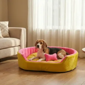 dog bed, premium dog bed, orthopedic dog bed, soft dog bed, pet bed for dogs, comfortable dog bed, washable dog bed, dog bed with cushion, premium orthopedic dog bed for large dogs, soft and comfortable dog bed with cushion, durable dog bed with PU foam support, luxury pet bed for small and medium dogs, breathable dog bed for summer and winter, stylish modern dog bed for home, lightweight dog bed easy to carry, dog bed with bone shape pillow, buy dog bed online India, best dog bed for home use, affordable premium dog bed, high quality pet bed India, dog bed under budget, cozy dog bed, luxury pet comfort bed, soft plush dog bed, designer dog bed, pet sleeping bed, dog sofa bed, dog lounger bed, pet sofa bed, round dog bed, donut dog bed, calming dog bed, anti anxiety dog bed, raised edge dog bed, bolster dog bed, dog bed with side support, dog bed with high walls, puppy bed, small dog bed, medium dog bed, large dog bed, extra large dog bed, indoor dog bed, home pet bed, dog sleeping cushion, thick padded dog bed, fluffy dog bed, soft foam dog bed, PU foam dog bed, fiber filled dog bed, eco friendly dog bed, skin friendly dog bed, hypoallergenic dog bed, non toxic pet bed, durable pet bedding, long lasting dog bed, tear resistant dog bed, chew resistant dog bed, easy to clean dog bed, machine washable pet bed, removable cover dog bed, portable dog bed, travel dog bed, foldable dog bed, lightweight pet bed, luxury dog sofa, premium pet mattress, designer pet furniture, modern pet bed, aesthetic dog bed, comfortable pet mattress, pet relaxation bed, cozy pet nest, warm dog bed for winter, cool breathable dog bed for summer, all season dog bed, anti slip base dog bed, waterproof dog bed, indoor luxury pet bed, dog bed for crate, dog bed for living room, pet accessories dog bed, best selling dog bed, trending pet products, affordable pet bedding India, online pet supplies India