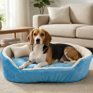 dog bed, premium dog bed, orthopedic dog bed, soft dog bed, pet bed for dogs, comfortable dog bed, washable dog bed, dog bed with cushion, premium orthopedic dog bed for large dogs, soft and comfortable dog bed with cushion, durable dog bed with PU foam support, luxury pet bed for small and medium dogs, breathable dog bed for summer and winter, stylish modern dog bed for home, lightweight dog bed easy to carry, dog bed with bone shape pillow, buy dog bed online India, best dog bed for home use, affordable premium dog bed, high quality pet bed India, dog bed under budget, cozy dog bed, luxury pet comfort bed, soft plush dog bed, designer dog bed, pet sleeping bed, dog sofa bed, dog lounger bed, pet sofa bed, round dog bed, donut dog bed, calming dog bed, anti anxiety dog bed, raised edge dog bed, bolster dog bed, dog bed with side support, dog bed with high walls, puppy bed, small dog bed, medium dog bed, large dog bed, extra large dog bed, indoor dog bed, home pet bed, dog sleeping cushion, thick padded dog bed, fluffy dog bed, soft foam dog bed, PU foam dog bed, fiber filled dog bed, eco friendly dog bed, skin friendly dog bed, hypoallergenic dog bed, non toxic pet bed, durable pet bedding, long lasting dog bed, tear resistant dog bed, chew resistant dog bed, easy to clean dog bed, machine washable pet bed, removable cover dog bed, portable dog bed, travel dog bed, foldable dog bed, lightweight pet bed, luxury dog sofa, premium pet mattress, designer pet furniture, modern pet bed, aesthetic dog bed, comfortable pet mattress, pet relaxation bed, cozy pet nest, warm dog bed for winter, cool breathable dog bed for summer, all season dog bed, anti slip base dog bed, waterproof dog bed, indoor luxury pet bed, dog bed for crate, dog bed for living room, pet accessories dog bed, best selling dog bed, trending pet products, affordable pet bedding India, online pet supplies India