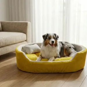 dog bed, premium dog bed, orthopedic dog bed, soft dog bed, pet bed for dogs, comfortable dog bed, washable dog bed, dog bed with cushion, premium orthopedic dog bed for large dogs, soft and comfortable dog bed with cushion, durable dog bed with PU foam support, luxury pet bed for small and medium dogs, breathable dog bed for summer and winter, stylish modern dog bed for home, lightweight dog bed easy to carry, dog bed with bone shape pillow, buy dog bed online India, best dog bed for home use, affordable premium dog bed, high quality pet bed India, dog bed under budget, cozy dog bed, luxury pet comfort bed, soft plush dog bed, designer dog bed, pet sleeping bed, dog sofa bed, dog lounger bed, pet sofa bed, round dog bed, donut dog bed, calming dog bed, anti anxiety dog bed, raised edge dog bed, bolster dog bed, dog bed with side support, dog bed with high walls, puppy bed, small dog bed, medium dog bed, large dog bed, extra large dog bed, indoor dog bed, home pet bed, dog sleeping cushion, thick padded dog bed, fluffy dog bed, soft foam dog bed, PU foam dog bed, fiber filled dog bed, eco friendly dog bed, skin friendly dog bed, hypoallergenic dog bed, non toxic pet bed, durable pet bedding, long lasting dog bed, tear resistant dog bed, chew resistant dog bed, easy to clean dog bed, machine washable pet bed, removable cover dog bed, portable dog bed, travel dog bed, foldable dog bed, lightweight pet bed, luxury dog sofa, premium pet mattress, designer pet furniture, modern pet bed, aesthetic dog bed, comfortable pet mattress, pet relaxation bed, cozy pet nest, warm dog bed for winter, cool breathable dog bed for summer, all season dog bed, anti slip base dog bed, waterproof dog bed, indoor luxury pet bed, dog bed for crate, dog bed for living room, pet accessories dog bed, best selling dog bed, trending pet products, affordable pet bedding India, online pet supplies India