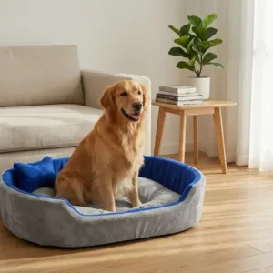 dog bed, premium dog bed, orthopedic dog bed, soft dog bed, pet bed for dogs, comfortable dog bed, washable dog bed, dog bed with cushion, premium orthopedic dog bed for large dogs, soft and comfortable dog bed with cushion, durable dog bed with PU foam support, luxury pet bed for small and medium dogs, breathable dog bed for summer and winter, stylish modern dog bed for home, lightweight dog bed easy to carry, dog bed with bone shape pillow, buy dog bed online India, best dog bed for home use, affordable premium dog bed, high quality pet bed India, dog bed under budget, cozy dog bed, luxury pet comfort bed, soft plush dog bed, designer dog bed, pet sleeping bed, dog sofa bed, dog lounger bed, pet sofa bed, round dog bed, donut dog bed, calming dog bed, anti anxiety dog bed, raised edge dog bed, bolster dog bed, dog bed with side support, dog bed with high walls, puppy bed, small dog bed, medium dog bed, large dog bed, extra large dog bed, indoor dog bed, home pet bed, dog sleeping cushion, thick padded dog bed, fluffy dog bed, soft foam dog bed, PU foam dog bed, fiber filled dog bed, eco friendly dog bed, skin friendly dog bed, hypoallergenic dog bed, non toxic pet bed, durable pet bedding, long lasting dog bed, tear resistant dog bed, chew resistant dog bed, easy to clean dog bed, machine washable pet bed, removable cover dog bed, portable dog bed, travel dog bed, foldable dog bed, lightweight pet bed, luxury dog sofa, premium pet mattress, designer pet furniture, modern pet bed, aesthetic dog bed, comfortable pet mattress, pet relaxation bed, cozy pet nest, warm dog bed for winter, cool breathable dog bed for summer, all season dog bed, anti slip base dog bed, waterproof dog bed, indoor luxury pet bed, dog bed for crate, dog bed for living room, pet accessories dog bed, best selling dog bed, trending pet products, affordable pet bedding India, online pet supplies India