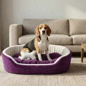 dog bed, premium dog bed, orthopedic dog bed, soft dog bed, pet bed for dogs, comfortable dog bed, washable dog bed, dog bed with cushion, premium orthopedic dog bed for large dogs, soft and comfortable dog bed with cushion, durable dog bed with PU foam support, luxury pet bed for small and medium dogs, breathable dog bed for summer and winter, stylish modern dog bed for home, lightweight dog bed easy to carry, dog bed with bone shape pillow, buy dog bed online India, best dog bed for home use, affordable premium dog bed, high quality pet bed India, dog bed under budget, cozy dog bed, luxury pet comfort bed, soft plush dog bed, designer dog bed, pet sleeping bed, dog sofa bed, dog lounger bed, pet sofa bed, round dog bed, donut dog bed, calming dog bed, anti anxiety dog bed, raised edge dog bed, bolster dog bed, dog bed with side support, dog bed with high walls, puppy bed, small dog bed, medium dog bed, large dog bed, extra large dog bed, indoor dog bed, home pet bed, dog sleeping cushion, thick padded dog bed, fluffy dog bed, soft foam dog bed, PU foam dog bed, fiber filled dog bed, eco friendly dog bed, skin friendly dog bed, hypoallergenic dog bed, non toxic pet bed, durable pet bedding, long lasting dog bed, tear resistant dog bed, chew resistant dog bed, easy to clean dog bed, machine washable pet bed, removable cover dog bed, portable dog bed, travel dog bed, foldable dog bed, lightweight pet bed, luxury dog sofa, premium pet mattress, designer pet furniture, modern pet bed, aesthetic dog bed, comfortable pet mattress, pet relaxation bed, cozy pet nest, warm dog bed for winter, cool breathable dog bed for summer, all season dog bed, anti slip base dog bed, waterproof dog bed, indoor luxury pet bed, dog bed for crate, dog bed for living room, pet accessories dog bed, best selling dog bed, trending pet products, affordable pet bedding India, online pet supplies India
