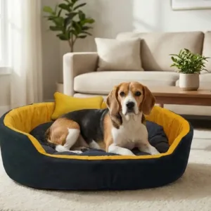 dog bed, premium dog bed, orthopedic dog bed, soft dog bed, pet bed for dogs, comfortable dog bed, washable dog bed, dog bed with cushion, premium orthopedic dog bed for large dogs, soft and comfortable dog bed with cushion, durable dog bed with PU foam support, luxury pet bed for small and medium dogs, breathable dog bed for summer and winter, stylish modern dog bed for home, lightweight dog bed easy to carry, dog bed with bone shape pillow, buy dog bed online India, best dog bed for home use, affordable premium dog bed, high quality pet bed India, dog bed under budget, cozy dog bed, luxury pet comfort bed, soft plush dog bed, designer dog bed, pet sleeping bed, dog sofa bed, dog lounger bed, pet sofa bed, round dog bed, donut dog bed, calming dog bed, anti anxiety dog bed, raised edge dog bed, bolster dog bed, dog bed with side support, dog bed with high walls, puppy bed, small dog bed, medium dog bed, large dog bed, extra large dog bed, indoor dog bed, home pet bed, dog sleeping cushion, thick padded dog bed, fluffy dog bed, soft foam dog bed, PU foam dog bed, fiber filled dog bed, eco friendly dog bed, skin friendly dog bed, hypoallergenic dog bed, non toxic pet bed, durable pet bedding, long lasting dog bed, tear resistant dog bed, chew resistant dog bed, easy to clean dog bed, machine washable pet bed, removable cover dog bed, portable dog bed, travel dog bed, foldable dog bed, lightweight pet bed, luxury dog sofa, premium pet mattress, designer pet furniture, modern pet bed, aesthetic dog bed, comfortable pet mattress, pet relaxation bed, cozy pet nest, warm dog bed for winter, cool breathable dog bed for summer, all season dog bed, anti slip base dog bed, waterproof dog bed, indoor luxury pet bed, dog bed for crate, dog bed for living room, pet accessories dog bed, best selling dog bed, trending pet products, affordable pet bedding India, online pet supplies India