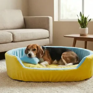 dog bed, premium dog bed, orthopedic dog bed, soft dog bed, pet bed for dogs, comfortable dog bed, washable dog bed, dog bed with cushion, premium orthopedic dog bed for large dogs, soft and comfortable dog bed with cushion, durable dog bed with PU foam support, luxury pet bed for small and medium dogs, breathable dog bed for summer and winter, stylish modern dog bed for home, lightweight dog bed easy to carry, dog bed with bone shape pillow, buy dog bed online India, best dog bed for home use, affordable premium dog bed, high quality pet bed India, dog bed under budget, cozy dog bed, luxury pet comfort bed, soft plush dog bed, designer dog bed, pet sleeping bed, dog sofa bed, dog lounger bed, pet sofa bed, round dog bed, donut dog bed, calming dog bed, anti anxiety dog bed, raised edge dog bed, bolster dog bed, dog bed with side support, dog bed with high walls, puppy bed, small dog bed, medium dog bed, large dog bed, extra large dog bed, indoor dog bed, home pet bed, dog sleeping cushion, thick padded dog bed, fluffy dog bed, soft foam dog bed, PU foam dog bed, fiber filled dog bed, eco friendly dog bed, skin friendly dog bed, hypoallergenic dog bed, non toxic pet bed, durable pet bedding, long lasting dog bed, tear resistant dog bed, chew resistant dog bed, easy to clean dog bed, machine washable pet bed, removable cover dog bed, portable dog bed, travel dog bed, foldable dog bed, lightweight pet bed, luxury dog sofa, premium pet mattress, designer pet furniture, modern pet bed, aesthetic dog bed, comfortable pet mattress, pet relaxation bed, cozy pet nest, warm dog bed for winter, cool breathable dog bed for summer, all season dog bed, anti slip base dog bed, waterproof dog bed, indoor luxury pet bed, dog bed for crate, dog bed for living room, pet accessories dog bed, best selling dog bed, trending pet products, affordable pet bedding India, online pet supplies India