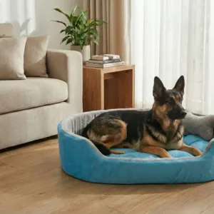dog bed, premium dog bed, orthopedic dog bed, soft dog bed, pet bed for dogs, comfortable dog bed, washable dog bed, dog bed with cushion, premium orthopedic dog bed for large dogs, soft and comfortable dog bed with cushion, durable dog bed with PU foam support, luxury pet bed for small and medium dogs, breathable dog bed for summer and winter, stylish modern dog bed for home, lightweight dog bed easy to carry, dog bed with bone shape pillow, buy dog bed online India, best dog bed for home use, affordable premium dog bed, high quality pet bed India, dog bed under budget, cozy dog bed, luxury pet comfort bed, soft plush dog bed, designer dog bed, pet sleeping bed, dog sofa bed, dog lounger bed, pet sofa bed, round dog bed, donut dog bed, calming dog bed, anti anxiety dog bed, raised edge dog bed, bolster dog bed, dog bed with side support, dog bed with high walls, puppy bed, small dog bed, medium dog bed, large dog bed, extra large dog bed, indoor dog bed, home pet bed, dog sleeping cushion, thick padded dog bed, fluffy dog bed, soft foam dog bed, PU foam dog bed, fiber filled dog bed, eco friendly dog bed, skin friendly dog bed, hypoallergenic dog bed, non toxic pet bed, durable pet bedding, long lasting dog bed, tear resistant dog bed, chew resistant dog bed, easy to clean dog bed, machine washable pet bed, removable cover dog bed, portable dog bed, travel dog bed, foldable dog bed, lightweight pet bed, luxury dog sofa, premium pet mattress, designer pet furniture, modern pet bed, aesthetic dog bed, comfortable pet mattress, pet relaxation bed, cozy pet nest, warm dog bed for winter, cool breathable dog bed for summer, all season dog bed, anti slip base dog bed, waterproof dog bed, indoor luxury pet bed, dog bed for crate, dog bed for living room, pet accessories dog bed, best selling dog bed, trending pet products, affordable pet bedding India, online pet supplies India