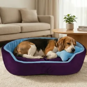 dog bed, premium dog bed, orthopedic dog bed, soft dog bed, pet bed for dogs, comfortable dog bed, washable dog bed, dog bed with cushion, premium orthopedic dog bed for large dogs, soft and comfortable dog bed with cushion, durable dog bed with PU foam support, luxury pet bed for small and medium dogs, breathable dog bed for summer and winter, stylish modern dog bed for home, lightweight dog bed easy to carry, dog bed with bone shape pillow, buy dog bed online India, best dog bed for home use, affordable premium dog bed, high quality pet bed India, dog bed under budget, cozy dog bed, luxury pet comfort bed, soft plush dog bed, designer dog bed, pet sleeping bed, dog sofa bed, dog lounger bed, pet sofa bed, round dog bed, donut dog bed, calming dog bed, anti anxiety dog bed, raised edge dog bed, bolster dog bed, dog bed with side support, dog bed with high walls, puppy bed, small dog bed, medium dog bed, large dog bed, extra large dog bed, indoor dog bed, home pet bed, dog sleeping cushion, thick padded dog bed, fluffy dog bed, soft foam dog bed, PU foam dog bed, fiber filled dog bed, eco friendly dog bed, skin friendly dog bed, hypoallergenic dog bed, non toxic pet bed, durable pet bedding, long lasting dog bed, tear resistant dog bed, chew resistant dog bed, easy to clean dog bed, machine washable pet bed, removable cover dog bed, portable dog bed, travel dog bed, foldable dog bed, lightweight pet bed, luxury dog sofa, premium pet mattress, designer pet furniture, modern pet bed, aesthetic dog bed, comfortable pet mattress, pet relaxation bed, cozy pet nest, warm dog bed for winter, cool breathable dog bed for summer, all season dog bed, anti slip base dog bed, waterproof dog bed, indoor luxury pet bed, dog bed for crate, dog bed for living room, pet accessories dog bed, best selling dog bed, trending pet products, affordable pet bedding India, online pet supplies India