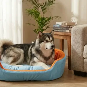 dog bed, premium dog bed, orthopedic dog bed, soft dog bed, pet bed for dogs, comfortable dog bed, washable dog bed, dog bed with cushion, premium orthopedic dog bed for large dogs, soft and comfortable dog bed with cushion, durable dog bed with PU foam support, luxury pet bed for small and medium dogs, breathable dog bed for summer and winter, stylish modern dog bed for home, lightweight dog bed easy to carry, dog bed with bone shape pillow, buy dog bed online India, best dog bed for home use, affordable premium dog bed, high quality pet bed India, dog bed under budget, cozy dog bed, luxury pet comfort bed, soft plush dog bed, designer dog bed, pet sleeping bed, dog sofa bed, dog lounger bed, pet sofa bed, round dog bed, donut dog bed, calming dog bed, anti anxiety dog bed, raised edge dog bed, bolster dog bed, dog bed with side support, dog bed with high walls, puppy bed, small dog bed, medium dog bed, large dog bed, extra large dog bed, indoor dog bed, home pet bed, dog sleeping cushion, thick padded dog bed, fluffy dog bed, soft foam dog bed, PU foam dog bed, fiber filled dog bed, eco friendly dog bed, skin friendly dog bed, hypoallergenic dog bed, non toxic pet bed, durable pet bedding, long lasting dog bed, tear resistant dog bed, chew resistant dog bed, easy to clean dog bed, machine washable pet bed, removable cover dog bed, portable dog bed, travel dog bed, foldable dog bed, lightweight pet bed, luxury dog sofa, premium pet mattress, designer pet furniture, modern pet bed, aesthetic dog bed, comfortable pet mattress, pet relaxation bed, cozy pet nest, warm dog bed for winter, cool breathable dog bed for summer, all season dog bed, anti slip base dog bed, waterproof dog bed, indoor luxury pet bed, dog bed for crate, dog bed for living room, pet accessories dog bed, best selling dog bed, trending pet products, affordable pet bedding India, online pet supplies India