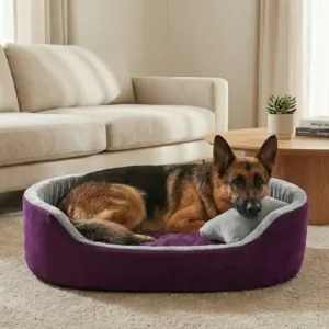 dog bed, premium dog bed, orthopedic dog bed, soft dog bed, pet bed for dogs, comfortable dog bed, washable dog bed, dog bed with cushion, premium orthopedic dog bed for large dogs, soft and comfortable dog bed with cushion, durable dog bed with PU foam support, luxury pet bed for small and medium dogs, breathable dog bed for summer and winter, stylish modern dog bed for home, lightweight dog bed easy to carry, dog bed with bone shape pillow, buy dog bed online India, best dog bed for home use, affordable premium dog bed, high quality pet bed India, dog bed under budget, cozy dog bed, luxury pet comfort bed, soft plush dog bed, designer dog bed, pet sleeping bed, dog sofa bed, dog lounger bed, pet sofa bed, round dog bed, donut dog bed, calming dog bed, anti anxiety dog bed, raised edge dog bed, bolster dog bed, dog bed with side support, dog bed with high walls, puppy bed, small dog bed, medium dog bed, large dog bed, extra large dog bed, indoor dog bed, home pet bed, dog sleeping cushion, thick padded dog bed, fluffy dog bed, soft foam dog bed, PU foam dog bed, fiber filled dog bed, eco friendly dog bed, skin friendly dog bed, hypoallergenic dog bed, non toxic pet bed, durable pet bedding, long lasting dog bed, tear resistant dog bed, chew resistant dog bed, easy to clean dog bed, machine washable pet bed, removable cover dog bed, portable dog bed, travel dog bed, foldable dog bed, lightweight pet bed, luxury dog sofa, premium pet mattress, designer pet furniture, modern pet bed, aesthetic dog bed, comfortable pet mattress, pet relaxation bed, cozy pet nest, warm dog bed for winter, cool breathable dog bed for summer, all season dog bed, anti slip base dog bed, waterproof dog bed, indoor luxury pet bed, dog bed for crate, dog bed for living room, pet accessories dog bed, best selling dog bed, trending pet products, affordable pet bedding India, online pet supplies India