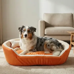 dog bed, premium dog bed, orthopedic dog bed, soft dog bed, pet bed for dogs, comfortable dog bed, washable dog bed, dog bed with cushion, premium orthopedic dog bed for large dogs, soft and comfortable dog bed with cushion, durable dog bed with PU foam support, luxury pet bed for small and medium dogs, breathable dog bed for summer and winter, stylish modern dog bed for home, lightweight dog bed easy to carry, dog bed with bone shape pillow, buy dog bed online India, best dog bed for home use, affordable premium dog bed, high quality pet bed India, dog bed under budget, cozy dog bed, luxury pet comfort bed, soft plush dog bed, designer dog bed, pet sleeping bed, dog sofa bed, dog lounger bed, pet sofa bed, round dog bed, donut dog bed, calming dog bed, anti anxiety dog bed, raised edge dog bed, bolster dog bed, dog bed with side support, dog bed with high walls, puppy bed, small dog bed, medium dog bed, large dog bed, extra large dog bed, indoor dog bed, home pet bed, dog sleeping cushion, thick padded dog bed, fluffy dog bed, soft foam dog bed, PU foam dog bed, fiber filled dog bed, eco friendly dog bed, skin friendly dog bed, hypoallergenic dog bed, non toxic pet bed, durable pet bedding, long lasting dog bed, tear resistant dog bed, chew resistant dog bed, easy to clean dog bed, machine washable pet bed, removable cover dog bed, portable dog bed, travel dog bed, foldable dog bed, lightweight pet bed, luxury dog sofa, premium pet mattress, designer pet furniture, modern pet bed, aesthetic dog bed, comfortable pet mattress, pet relaxation bed, cozy pet nest, warm dog bed for winter, cool breathable dog bed for summer, all season dog bed, anti slip base dog bed, waterproof dog bed, indoor luxury pet bed, dog bed for crate, dog bed for living room, pet accessories dog bed, best selling dog bed, trending pet products, affordable pet bedding India, online pet supplies India