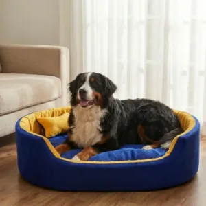 dog bed, premium dog bed, orthopedic dog bed, soft dog bed, pet bed for dogs, comfortable dog bed, washable dog bed, dog bed with cushion, premium orthopedic dog bed for large dogs, soft and comfortable dog bed with cushion, durable dog bed with PU foam support, luxury pet bed for small and medium dogs, breathable dog bed for summer and winter, stylish modern dog bed for home, lightweight dog bed easy to carry, dog bed with bone shape pillow, buy dog bed online India, best dog bed for home use, affordable premium dog bed, high quality pet bed India, dog bed under budget, cozy dog bed, luxury pet comfort bed, soft plush dog bed, designer dog bed, pet sleeping bed, dog sofa bed, dog lounger bed, pet sofa bed, round dog bed, donut dog bed, calming dog bed, anti anxiety dog bed, raised edge dog bed, bolster dog bed, dog bed with side support, dog bed with high walls, puppy bed, small dog bed, medium dog bed, large dog bed, extra large dog bed, indoor dog bed, home pet bed, dog sleeping cushion, thick padded dog bed, fluffy dog bed, soft foam dog bed, PU foam dog bed, fiber filled dog bed, eco friendly dog bed, skin friendly dog bed, hypoallergenic dog bed, non toxic pet bed, durable pet bedding, long lasting dog bed, tear resistant dog bed, chew resistant dog bed, easy to clean dog bed, machine washable pet bed, removable cover dog bed, portable dog bed, travel dog bed, foldable dog bed, lightweight pet bed, luxury dog sofa, premium pet mattress, designer pet furniture, modern pet bed, aesthetic dog bed, comfortable pet mattress, pet relaxation bed, cozy pet nest, warm dog bed for winter, cool breathable dog bed for summer, all season dog bed, anti slip base dog bed, waterproof dog bed, indoor luxury pet bed, dog bed for crate, dog bed for living room, pet accessories dog bed, best selling dog bed, trending pet products, affordable pet bedding India, online pet supplies India