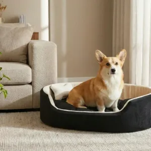 dog bed, premium dog bed, orthopedic dog bed, soft dog bed, pet bed for dogs, comfortable dog bed, washable dog bed, dog bed with cushion, premium orthopedic dog bed for large dogs, soft and comfortable dog bed with cushion, durable dog bed with PU foam support, luxury pet bed for small and medium dogs, breathable dog bed for summer and winter, stylish modern dog bed for home, lightweight dog bed easy to carry, dog bed with bone shape pillow, buy dog bed online India, best dog bed for home use, affordable premium dog bed, high quality pet bed India, dog bed under budget, cozy dog bed, luxury pet comfort bed, soft plush dog bed, designer dog bed, pet sleeping bed, dog sofa bed, dog lounger bed, pet sofa bed, round dog bed, donut dog bed, calming dog bed, anti anxiety dog bed, raised edge dog bed, bolster dog bed, dog bed with side support, dog bed with high walls, puppy bed, small dog bed, medium dog bed, large dog bed, extra large dog bed, indoor dog bed, home pet bed, dog sleeping cushion, thick padded dog bed, fluffy dog bed, soft foam dog bed, PU foam dog bed, fiber filled dog bed, eco friendly dog bed, skin friendly dog bed, hypoallergenic dog bed, non toxic pet bed, durable pet bedding, long lasting dog bed, tear resistant dog bed, chew resistant dog bed, easy to clean dog bed, machine washable pet bed, removable cover dog bed, portable dog bed, travel dog bed, foldable dog bed, lightweight pet bed, luxury dog sofa, premium pet mattress, designer pet furniture, modern pet bed, aesthetic dog bed, comfortable pet mattress, pet relaxation bed, cozy pet nest, warm dog bed for winter, cool breathable dog bed for summer, all season dog bed, anti slip base dog bed, waterproof dog bed, indoor luxury pet bed, dog bed for crate, dog bed for living room, pet accessories dog bed, best selling dog bed, trending pet products, affordable pet bedding India, online pet supplies India