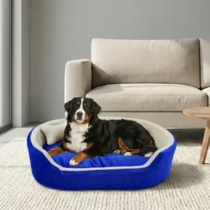 dog bed, premium dog bed, orthopedic dog bed, soft dog bed, pet bed for dogs, comfortable dog bed, washable dog bed, dog bed with cushion, premium orthopedic dog bed for large dogs, soft and comfortable dog bed with cushion, durable dog bed with PU foam support, luxury pet bed for small and medium dogs, breathable dog bed for summer and winter, stylish modern dog bed for home, lightweight dog bed easy to carry, dog bed with bone shape pillow, buy dog bed online India, best dog bed for home use, affordable premium dog bed, high quality pet bed India, dog bed under budget, cozy dog bed, luxury pet comfort bed, soft plush dog bed, designer dog bed, pet sleeping bed, dog sofa bed, dog lounger bed, pet sofa bed, round dog bed, donut dog bed, calming dog bed, anti anxiety dog bed, raised edge dog bed, bolster dog bed, dog bed with side support, dog bed with high walls, puppy bed, small dog bed, medium dog bed, large dog bed, extra large dog bed, indoor dog bed, home pet bed, dog sleeping cushion, thick padded dog bed, fluffy dog bed, soft foam dog bed, PU foam dog bed, fiber filled dog bed, eco friendly dog bed, skin friendly dog bed, hypoallergenic dog bed, non toxic pet bed, durable pet bedding, long lasting dog bed, tear resistant dog bed, chew resistant dog bed, easy to clean dog bed, machine washable pet bed, removable cover dog bed, portable dog bed, travel dog bed, foldable dog bed, lightweight pet bed, luxury dog sofa, premium pet mattress, designer pet furniture, modern pet bed, aesthetic dog bed, comfortable pet mattress, pet relaxation bed, cozy pet nest, warm dog bed for winter, cool breathable dog bed for summer, all season dog bed, anti slip base dog bed, waterproof dog bed, indoor luxury pet bed, dog bed for crate, dog bed for living room, pet accessories dog bed, best selling dog bed, trending pet products, affordable pet bedding India, online pet supplies India