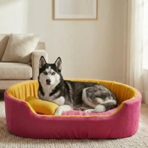 dog bed, premium dog bed, orthopedic dog bed, soft dog bed, pet bed for dogs, comfortable dog bed, washable dog bed, dog bed with cushion, premium orthopedic dog bed for large dogs, soft and comfortable dog bed with cushion, durable dog bed with PU foam support, luxury pet bed for small and medium dogs, breathable dog bed for summer and winter, stylish modern dog bed for home, lightweight dog bed easy to carry, dog bed with bone shape pillow, buy dog bed online India, best dog bed for home use, affordable premium dog bed, high quality pet bed India, dog bed under budget, cozy dog bed, luxury pet comfort bed, soft plush dog bed, designer dog bed, pet sleeping bed, dog sofa bed, dog lounger bed, pet sofa bed, round dog bed, donut dog bed, calming dog bed, anti anxiety dog bed, raised edge dog bed, bolster dog bed, dog bed with side support, dog bed with high walls, puppy bed, small dog bed, medium dog bed, large dog bed, extra large dog bed, indoor dog bed, home pet bed, dog sleeping cushion, thick padded dog bed, fluffy dog bed, soft foam dog bed, PU foam dog bed, fiber filled dog bed, eco friendly dog bed, skin friendly dog bed, hypoallergenic dog bed, non toxic pet bed, durable pet bedding, long lasting dog bed, tear resistant dog bed, chew resistant dog bed, easy to clean dog bed, machine washable pet bed, removable cover dog bed, portable dog bed, travel dog bed, foldable dog bed, lightweight pet bed, luxury dog sofa, premium pet mattress, designer pet furniture, modern pet bed, aesthetic dog bed, comfortable pet mattress, pet relaxation bed, cozy pet nest, warm dog bed for winter, cool breathable dog bed for summer, all season dog bed, anti slip base dog bed, waterproof dog bed, indoor luxury pet bed, dog bed for crate, dog bed for living room, pet accessories dog bed, best selling dog bed, trending pet products, affordable pet bedding India, online pet supplies India