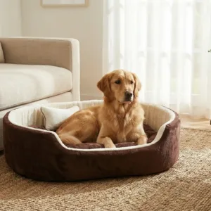dog bed, premium dog bed, orthopedic dog bed, soft dog bed, pet bed for dogs, comfortable dog bed, washable dog bed, dog bed with cushion, premium orthopedic dog bed for large dogs, soft and comfortable dog bed with cushion, durable dog bed with PU foam support, luxury pet bed for small and medium dogs, breathable dog bed for summer and winter, stylish modern dog bed for home, lightweight dog bed easy to carry, dog bed with bone shape pillow, buy dog bed online India, best dog bed for home use, affordable premium dog bed, high quality pet bed India, dog bed under budget, cozy dog bed, luxury pet comfort bed, soft plush dog bed, designer dog bed, pet sleeping bed, dog sofa bed, dog lounger bed, pet sofa bed, round dog bed, donut dog bed, calming dog bed, anti anxiety dog bed, raised edge dog bed, bolster dog bed, dog bed with side support, dog bed with high walls, puppy bed, small dog bed, medium dog bed, large dog bed, extra large dog bed, indoor dog bed, home pet bed, dog sleeping cushion, thick padded dog bed, fluffy dog bed, soft foam dog bed, PU foam dog bed, fiber filled dog bed, eco friendly dog bed, skin friendly dog bed, hypoallergenic dog bed, non toxic pet bed, durable pet bedding, long lasting dog bed, tear resistant dog bed, chew resistant dog bed, easy to clean dog bed, machine washable pet bed, removable cover dog bed, portable dog bed, travel dog bed, foldable dog bed, lightweight pet bed, luxury dog sofa, premium pet mattress, designer pet furniture, modern pet bed, aesthetic dog bed, comfortable pet mattress, pet relaxation bed, cozy pet nest, warm dog bed for winter, cool breathable dog bed for summer, all season dog bed, anti slip base dog bed, waterproof dog bed, indoor luxury pet bed, dog bed for crate, dog bed for living room, pet accessories dog bed, best selling dog bed, trending pet products, affordable pet bedding India, online pet supplies India