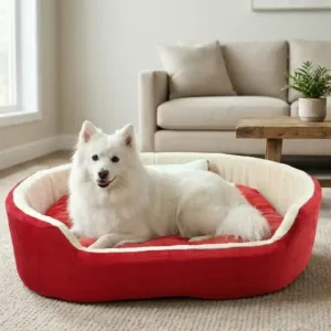 dog bed, premium dog bed, orthopedic dog bed, soft dog bed, pet bed for dogs, comfortable dog bed, washable dog bed, dog bed with cushion, premium orthopedic dog bed for large dogs, soft and comfortable dog bed with cushion, durable dog bed with PU foam support, luxury pet bed for small and medium dogs, breathable dog bed for summer and winter, stylish modern dog bed for home, lightweight dog bed easy to carry, dog bed with bone shape pillow, buy dog bed online India, best dog bed for home use, affordable premium dog bed, high quality pet bed India, dog bed under budget, cozy dog bed, luxury pet comfort bed, soft plush dog bed, designer dog bed, pet sleeping bed, dog sofa bed, dog lounger bed, pet sofa bed, round dog bed, donut dog bed, calming dog bed, anti anxiety dog bed, raised edge dog bed, bolster dog bed, dog bed with side support, dog bed with high walls, puppy bed, small dog bed, medium dog bed, large dog bed, extra large dog bed, indoor dog bed, home pet bed, dog sleeping cushion, thick padded dog bed, fluffy dog bed, soft foam dog bed, PU foam dog bed, fiber filled dog bed, eco friendly dog bed, skin friendly dog bed, hypoallergenic dog bed, non toxic pet bed, durable pet bedding, long lasting dog bed, tear resistant dog bed, chew resistant dog bed, easy to clean dog bed, machine washable pet bed, removable cover dog bed, portable dog bed, travel dog bed, foldable dog bed, lightweight pet bed, luxury dog sofa, premium pet mattress, designer pet furniture, modern pet bed, aesthetic dog bed, comfortable pet mattress, pet relaxation bed, cozy pet nest, warm dog bed for winter, cool breathable dog bed for summer, all season dog bed, anti slip base dog bed, waterproof dog bed, indoor luxury pet bed, dog bed for crate, dog bed for living room, pet accessories dog bed, best selling dog bed, trending pet products, affordable pet bedding India, online pet supplies India