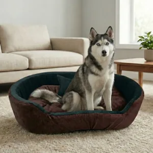 dog bed, premium dog bed, orthopedic dog bed, soft dog bed, pet bed for dogs, comfortable dog bed, washable dog bed, dog bed with cushion, premium orthopedic dog bed for large dogs, soft and comfortable dog bed with cushion, durable dog bed with PU foam support, luxury pet bed for small and medium dogs, breathable dog bed for summer and winter, stylish modern dog bed for home, lightweight dog bed easy to carry, dog bed with bone shape pillow, buy dog bed online India, best dog bed for home use, affordable premium dog bed, high quality pet bed India, dog bed under budget, cozy dog bed, luxury pet comfort bed, soft plush dog bed, designer dog bed, pet sleeping bed, dog sofa bed, dog lounger bed, pet sofa bed, round dog bed, donut dog bed, calming dog bed, anti anxiety dog bed, raised edge dog bed, bolster dog bed, dog bed with side support, dog bed with high walls, puppy bed, small dog bed, medium dog bed, large dog bed, extra large dog bed, indoor dog bed, home pet bed, dog sleeping cushion, thick padded dog bed, fluffy dog bed, soft foam dog bed, PU foam dog bed, fiber filled dog bed, eco friendly dog bed, skin friendly dog bed, hypoallergenic dog bed, non toxic pet bed, durable pet bedding, long lasting dog bed, tear resistant dog bed, chew resistant dog bed, easy to clean dog bed, machine washable pet bed, removable cover dog bed, portable dog bed, travel dog bed, foldable dog bed, lightweight pet bed, luxury dog sofa, premium pet mattress, designer pet furniture, modern pet bed, aesthetic dog bed, comfortable pet mattress, pet relaxation bed, cozy pet nest, warm dog bed for winter, cool breathable dog bed for summer, all season dog bed, anti slip base dog bed, waterproof dog bed, indoor luxury pet bed, dog bed for crate, dog bed for living room, pet accessories dog bed, best selling dog bed, trending pet products, affordable pet bedding India, online pet supplies India