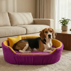 dog bed, premium dog bed, orthopedic dog bed, soft dog bed, pet bed for dogs, comfortable dog bed, washable dog bed, dog bed with cushion, premium orthopedic dog bed for large dogs, soft and comfortable dog bed with cushion, durable dog bed with PU foam support, luxury pet bed for small and medium dogs, breathable dog bed for summer and winter, stylish modern dog bed for home, lightweight dog bed easy to carry, dog bed with bone shape pillow, buy dog bed online India, best dog bed for home use, affordable premium dog bed, high quality pet bed India, dog bed under budget, cozy dog bed, luxury pet comfort bed, soft plush dog bed, designer dog bed, pet sleeping bed, dog sofa bed, dog lounger bed, pet sofa bed, round dog bed, donut dog bed, calming dog bed, anti anxiety dog bed, raised edge dog bed, bolster dog bed, dog bed with side support, dog bed with high walls, puppy bed, small dog bed, medium dog bed, large dog bed, extra large dog bed, indoor dog bed, home pet bed, dog sleeping cushion, thick padded dog bed, fluffy dog bed, soft foam dog bed, PU foam dog bed, fiber filled dog bed, eco friendly dog bed, skin friendly dog bed, hypoallergenic dog bed, non toxic pet bed, durable pet bedding, long lasting dog bed, tear resistant dog bed, chew resistant dog bed, easy to clean dog bed, machine washable pet bed, removable cover dog bed, portable dog bed, travel dog bed, foldable dog bed, lightweight pet bed, luxury dog sofa, premium pet mattress, designer pet furniture, modern pet bed, aesthetic dog bed, comfortable pet mattress, pet relaxation bed, cozy pet nest, warm dog bed for winter, cool breathable dog bed for summer, all season dog bed, anti slip base dog bed, waterproof dog bed, indoor luxury pet bed, dog bed for crate, dog bed for living room, pet accessories dog bed, best selling dog bed, trending pet products, affordable pet bedding India, online pet supplies India