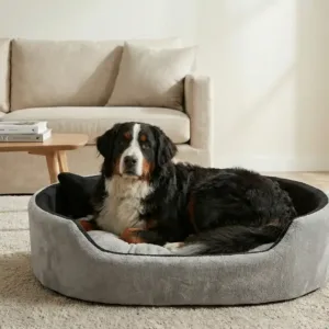 dog bed, premium dog bed, orthopedic dog bed, soft dog bed, pet bed for dogs, comfortable dog bed, washable dog bed, dog bed with cushion, premium orthopedic dog bed for large dogs, soft and comfortable dog bed with cushion, durable dog bed with PU foam support, luxury pet bed for small and medium dogs, breathable dog bed for summer and winter, stylish modern dog bed for home, lightweight dog bed easy to carry, dog bed with bone shape pillow, buy dog bed online India, best dog bed for home use, affordable premium dog bed, high quality pet bed India, dog bed under budget, cozy dog bed, luxury pet comfort bed, soft plush dog bed, designer dog bed, pet sleeping bed, dog sofa bed, dog lounger bed, pet sofa bed, round dog bed, donut dog bed, calming dog bed, anti anxiety dog bed, raised edge dog bed, bolster dog bed, dog bed with side support, dog bed with high walls, puppy bed, small dog bed, medium dog bed, large dog bed, extra large dog bed, indoor dog bed, home pet bed, dog sleeping cushion, thick padded dog bed, fluffy dog bed, soft foam dog bed, PU foam dog bed, fiber filled dog bed, eco friendly dog bed, skin friendly dog bed, hypoallergenic dog bed, non toxic pet bed, durable pet bedding, long lasting dog bed, tear resistant dog bed, chew resistant dog bed, easy to clean dog bed, machine washable pet bed, removable cover dog bed, portable dog bed, travel dog bed, foldable dog bed, lightweight pet bed, luxury dog sofa, premium pet mattress, designer pet furniture, modern pet bed, aesthetic dog bed, comfortable pet mattress, pet relaxation bed, cozy pet nest, warm dog bed for winter, cool breathable dog bed for summer, all season dog bed, anti slip base dog bed, waterproof dog bed, indoor luxury pet bed, dog bed for crate, dog bed for living room, pet accessories dog bed, best selling dog bed, trending pet products, affordable pet bedding India, online pet supplies India